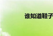 誰知道鞋子Z字是什么品牌