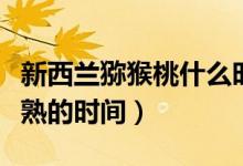 新西蘭獼猴桃什么時候成熟（新西蘭獼猴桃成熟的時間）