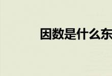 因數(shù)是什么東西（因數(shù)是什么）