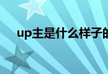 up主是什么樣子的（UP主是什么意思）