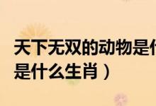 天下無雙的動物是什么生肖（天下無雙的動物是什么生肖）