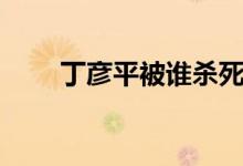 丁彥平被誰殺死（丁彥平怎么死的）