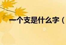 一個(gè)支是什么字（山支大哥是什么意思）