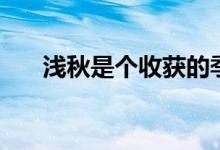 淺秋是個(gè)收獲的季節(jié)（淺秋是何寓意）