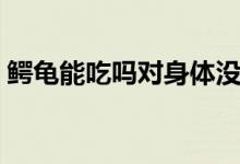 鱷龜能吃嗎對身體沒有危害吧（鱷龜能吃嗎）