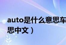 auto是什么意思車(chē)上的開(kāi)關(guān)（auto是什么意思中文）