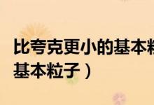 比夸克更小的基本粒子（比夸克還小的是什么基本粒子）