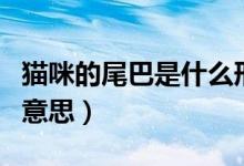 貓咪的尾巴是什么形狀的（mm單位表示什么意思）