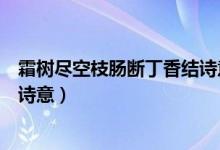 霜樹盡空枝腸斷丁香結(jié)詩(shī)意是啥（霜樹盡空之腸斷丁香結(jié)的詩(shī)意）