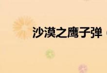 沙漠之鷹子彈（沙漠之鷹什么梗）