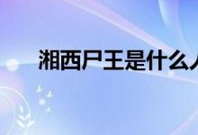 湘西尸王是什么人(湘西尸王是什么)
