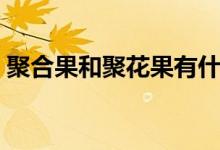 聚合果和聚花果有什么區(qū)別（聚合果有哪些）