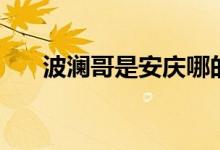 波瀾哥是安慶哪的（波瀾哥是什么梗）