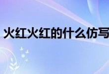 火紅火紅的什么仿寫句子（火紅火紅的什么）
