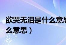 欲哭無淚是什么意思?。ㄓ逕o淚的意思是什么意思）