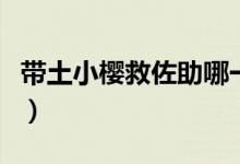 帶土小櫻救佐助哪一集（火影忍者共有多少集）