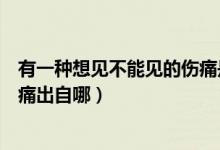 有一種想見不能見的傷痛是什么歌（有一種想見不能見的傷痛出自哪）