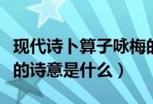 現(xiàn)代詩卜算子詠梅的詩意是什么（卜算子詠梅的詩意是什么）