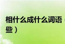 相什么成什么詞語(yǔ)（相什么相什么的詞語(yǔ)有哪些）