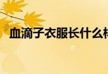 血滴子衣服長什么樣（血滴子衣服是什么）