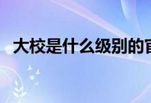 大校是什么級別的官職（大校是什么級別）