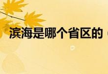 濱海是哪個(gè)省區(qū)的（濱海是哪個(gè)省的城市）