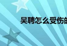 吳聘怎么受傷的(吳聘怎么死的)