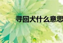 尋回犬什么意思（尋回犬什么意思）