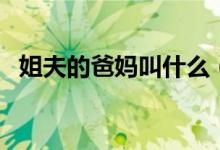 姐夫的爸媽叫什么（姐夫的爸媽怎么稱呼）