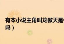 有本小說主角叫龍傲天是什么名字（有本小說主角叫龍辰有嗎）
