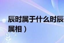 辰時屬于什么時辰(辰時屬什么 辰時是什么屬相)