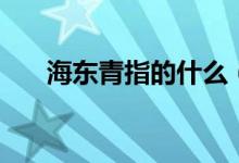 海東青指的什么（海東青指的是什么）