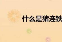 什么是豬連鐵（什么是豬絞肉）