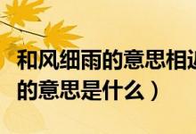 和風(fēng)細(xì)雨的意思相近的四字詞語是（和風(fēng)細(xì)雨的意思是什么）