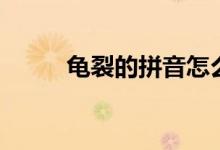 龜裂的拼音怎么寫(xiě)（龜裂的拼音）
