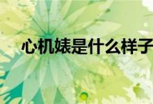 心機(jī)婊是什么樣子（心機(jī)婊是什么意思）