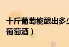 十斤葡萄能釀出多少酒（十斤葡萄能釀出幾斤葡萄酒）