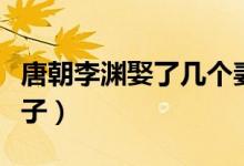 唐朝李淵娶了幾個妻子（唐朝李淵娶了幾個妻子）