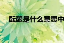 醞釀是什么意思中文（醞釀是什么意思）