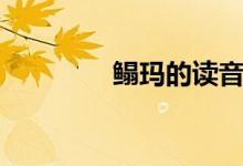 鰨瑪?shù)淖x音（鰨瑪是什么）