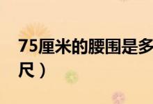 75厘米的腰圍是多大（75厘米的腰圍是多少尺）
