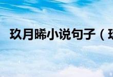 玖月晞小說句子（玖月晞的小說經(jīng)典語錄）