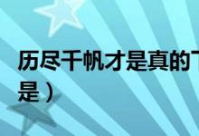 歷盡千帆才是真的下一句(歷盡千帆盡下一句是)