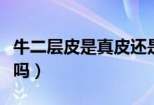 牛二層皮是真皮還是假皮（牛二層皮是真的皮嗎）
