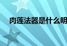 肉蓮法器是什么明妃（肉蓮法器是什么）