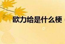 歐力給是什么梗（歐力給是什么意思）