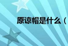 原諒帽是什么（原諒帽是什么意思）