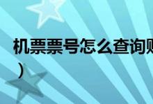 機票票號怎么查詢購票信息（機票票號怎么查）