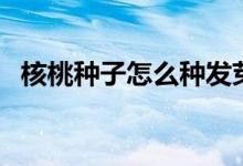 核桃種子怎么種發(fā)芽快（核桃種子怎么種）
