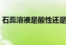 石蕊溶液是酸性還是堿性（石蕊溶液指什么）